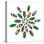 Cicular Design Pattern of Jewel Beetles-Darrell Gulin-Stretched Canvas