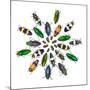 Cicular Design Pattern of Jewel Beetles-Darrell Gulin-Mounted Photographic Print