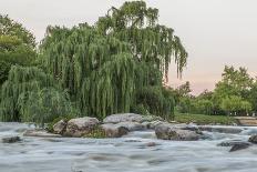 River in South Africa-CID-PzkVw1UVaf-Photographic Print