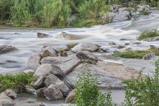 River in South Africa-CID-PzkVw1UVaf-Photographic Print