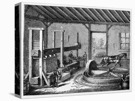 Cider Production, 19th Century-CCI Archives-Stretched Canvas