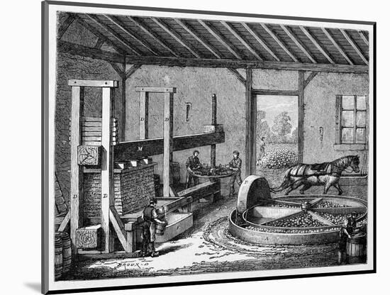 Cider Production, 19th Century-CCI Archives-Mounted Photographic Print