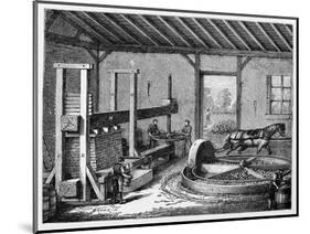 Cider Production, 19th Century-CCI Archives-Mounted Photographic Print