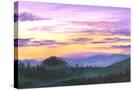 Stretched Canvas