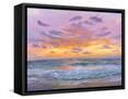 Framed Canvas