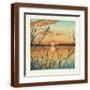 Brown Frame
