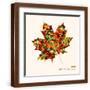 Brown Frame