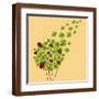 Brown Frame