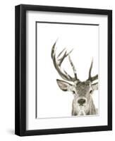 Ciervo 1-THE Studio-Framed Giclee Print