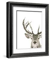 Ciervo 1-THE Studio-Framed Giclee Print