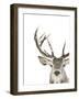 Ciervo 1-THE Studio-Framed Giclee Print