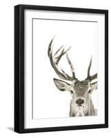 Ciervo 1-THE Studio-Framed Giclee Print