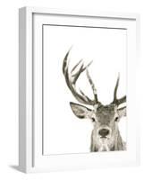 Ciervo 1-THE Studio-Framed Giclee Print