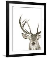 Ciervo 1-THE Studio-Framed Giclee Print