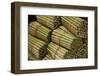 Cigar factory in Myanmar.-Michele Niles-Framed Photographic Print