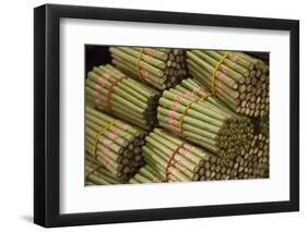 Cigar factory in Myanmar.-Michele Niles-Framed Photographic Print