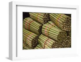 Cigar factory in Myanmar.-Michele Niles-Framed Photographic Print