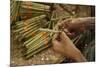 Cigar factory in Myanmar.-Michele Niles-Mounted Photographic Print