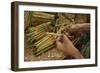 Cigar factory in Myanmar.-Michele Niles-Framed Photographic Print