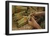 Cigar factory in Myanmar.-Michele Niles-Framed Photographic Print