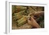 Cigar factory in Myanmar.-Michele Niles-Framed Photographic Print