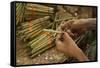 Cigar factory in Myanmar.-Michele Niles-Framed Stretched Canvas