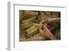 Cigar factory in Myanmar.-Michele Niles-Framed Photographic Print