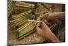 Cigar factory in Myanmar.-Michele Niles-Mounted Photographic Print