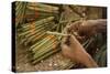 Cigar factory in Myanmar.-Michele Niles-Stretched Canvas