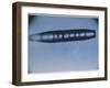 Cigar-Shaped Venusian Interplanetary UFO-null-Framed Photographic Print