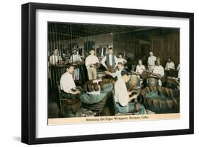 Cigar Wrappers, Havana, Cuba-null-Framed Art Print