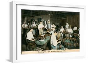 Cigar Wrappers, Havana, Cuba-null-Framed Art Print