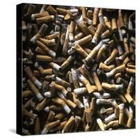 Cigarette Butts-Kevin Curtis-Stretched Canvas