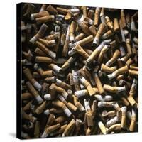 Cigarette Butts-Kevin Curtis-Stretched Canvas