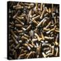 Cigarette Butts-Kevin Curtis-Stretched Canvas