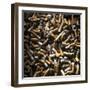 Cigarette Butts-Kevin Curtis-Framed Premium Photographic Print