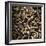 Cigarette Butts-Kevin Curtis-Framed Premium Photographic Print