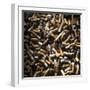 Cigarette Butts-Kevin Curtis-Framed Premium Photographic Print