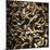 Cigarette Butts-Kevin Curtis-Mounted Premium Photographic Print