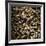 Cigarette Butts-Kevin Curtis-Framed Photographic Print