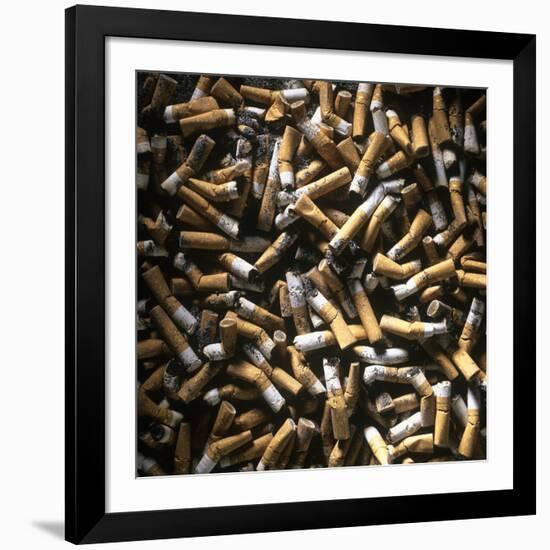 Cigarette Butts-Kevin Curtis-Framed Photographic Print