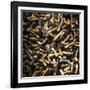 Cigarette Butts-Kevin Curtis-Framed Photographic Print