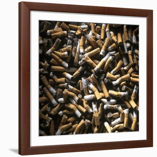 Cigarette Butts-Kevin Curtis-Framed Photographic Print