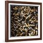 Cigarette Butts-Kevin Curtis-Framed Photographic Print