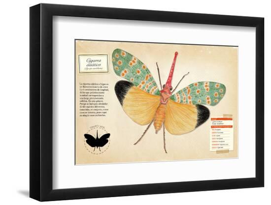 Photographic Print, , large