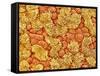 Cilia and mucous cells of oviduct (rat)-Micro Discovery-Framed Stretched Canvas