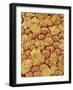 Cilia and mucous cells of oviduct (rat)-Micro Discovery-Framed Photographic Print