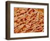 Cilia of the Inner Ear of a Rabbit-Micro Discovery-Framed Photographic Print