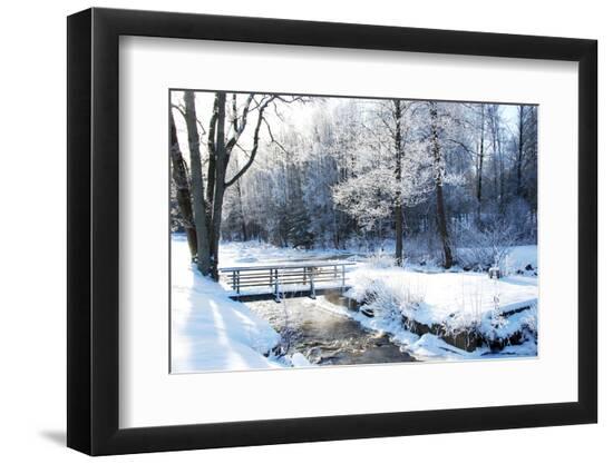 Premium Photographic Print, , large