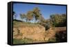 Cima Grave, Marturanum Regional Park, San Giuliano, Barbarano Romano, Lazio, Italy, 7th Century-null-Framed Stretched Canvas